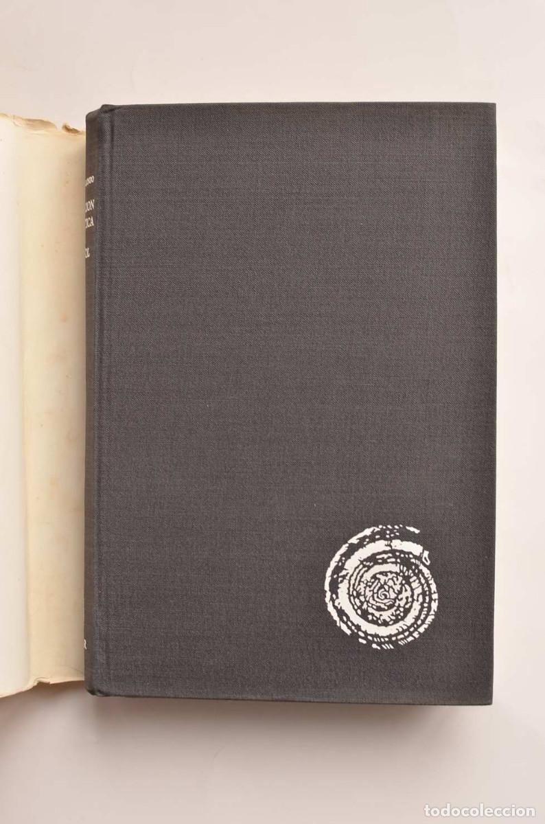 Libros: Evoluci&oacute;n sint&aacute;ctica del espa&ntilde;ol - ALONSO, Martin - Foto 2