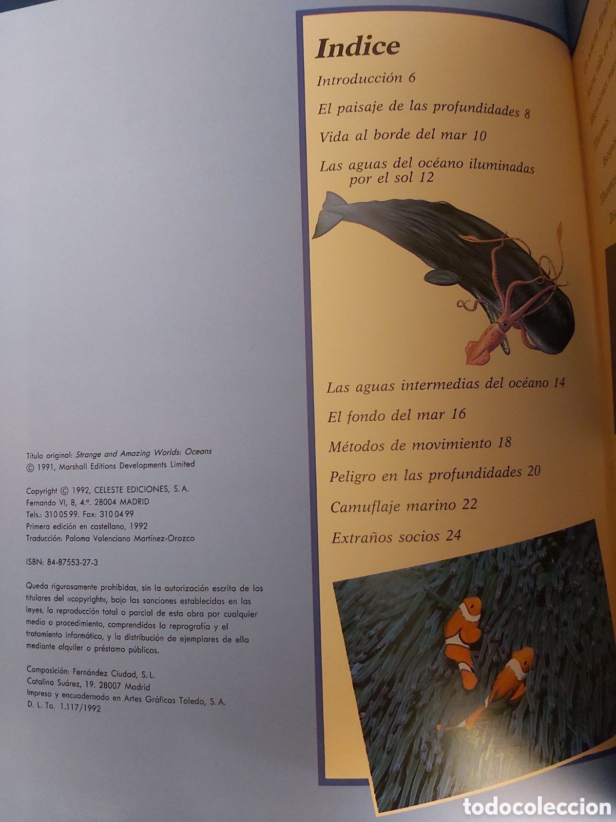 Libros: OCEANOS $ PHILIP WHITFIELD $ CELESTE EDICIONES $ 1992 - Foto 4