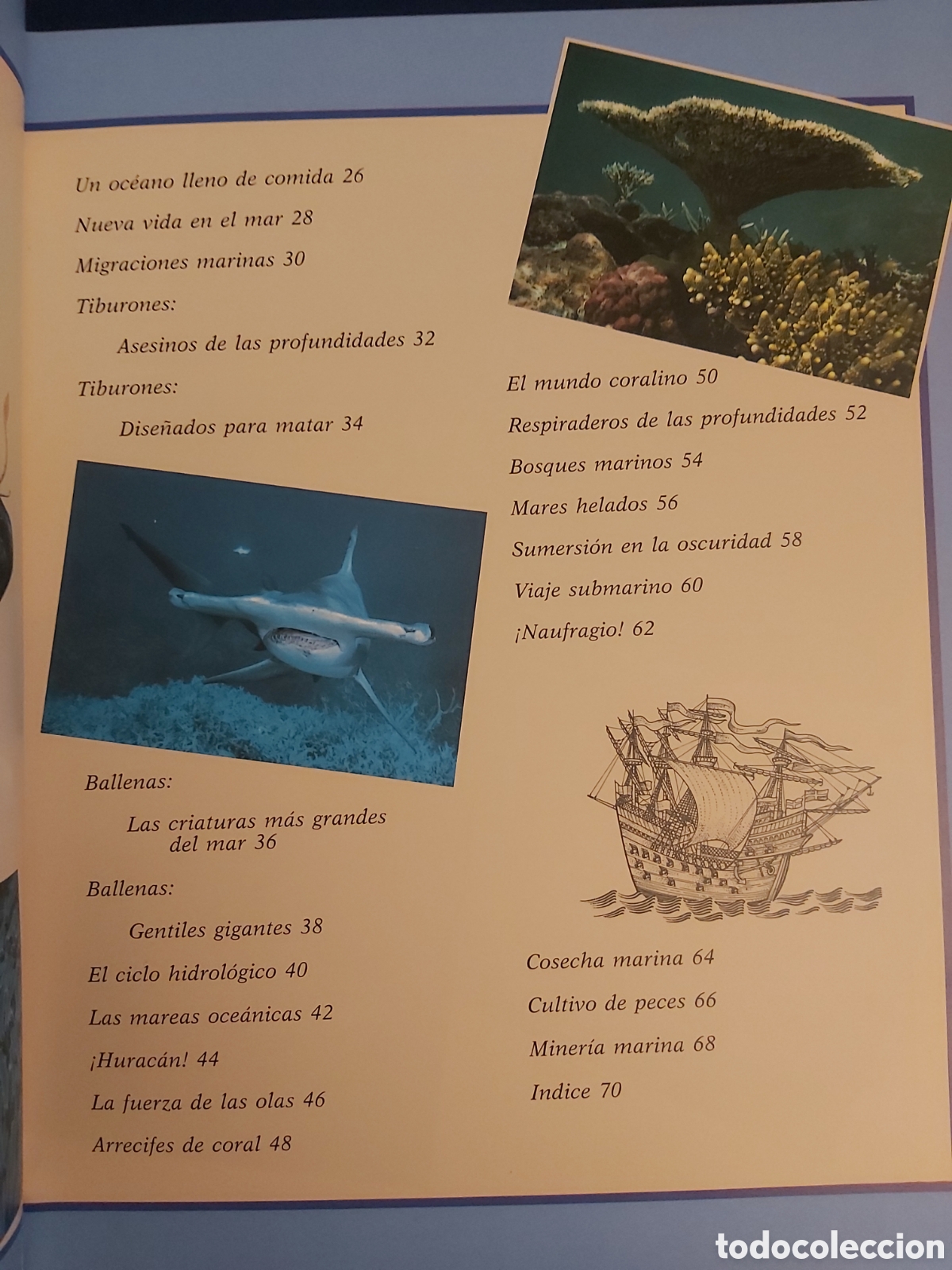 Libros: OCEANOS $ PHILIP WHITFIELD $ CELESTE EDICIONES $ 1992 - Foto 5