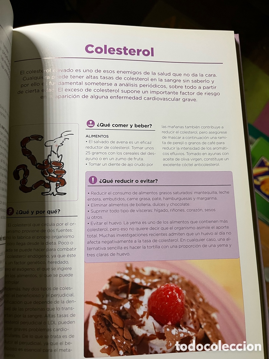 Libros: COMO CURAN LOS ALIMENTOS COMO NUEVO - Foto 6