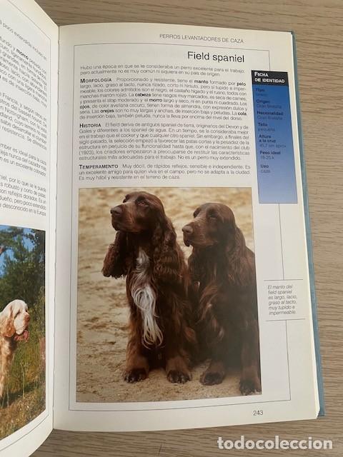 Libros: EL GRAN LIBRO DE LOS PERROS - Foto 3