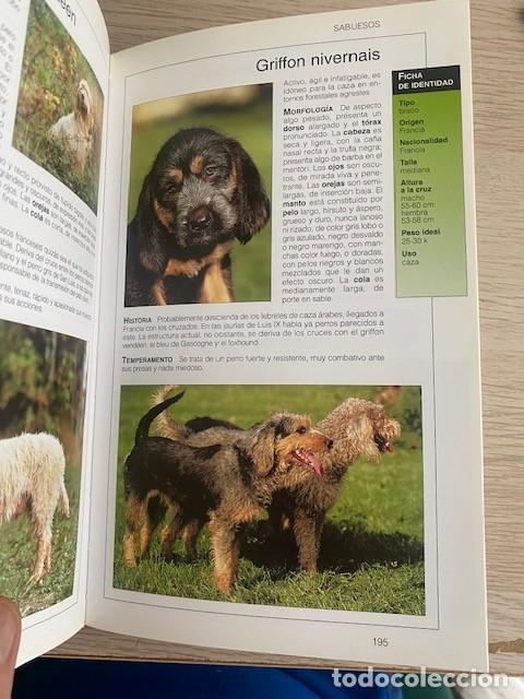 Libros: EL GRAN LIBRO DE LOS PERROS - Foto 4