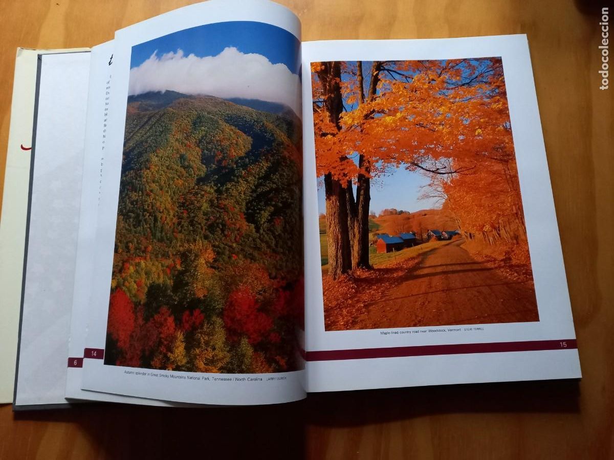 Libros: RARO. AMERICA ON MY MIND. (Impecable) - Foto 15
