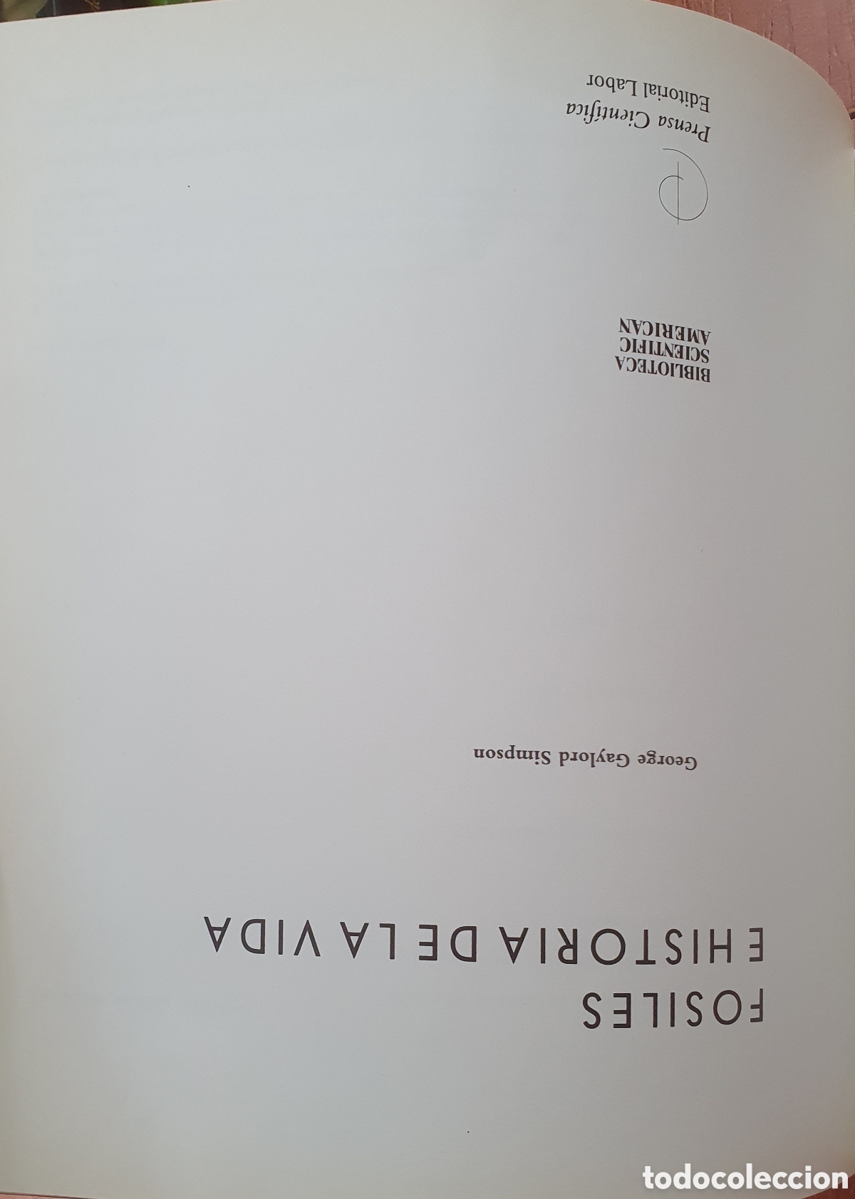Libros: La Percepci&oacute;n � Labor - Irvin Rock - Foto 2