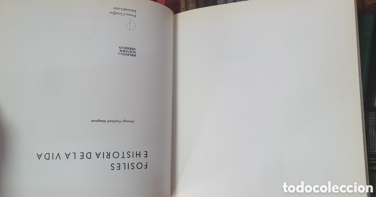 Libros: La Percepci&oacute;n � Labor - Irvin Rock - Foto 6
