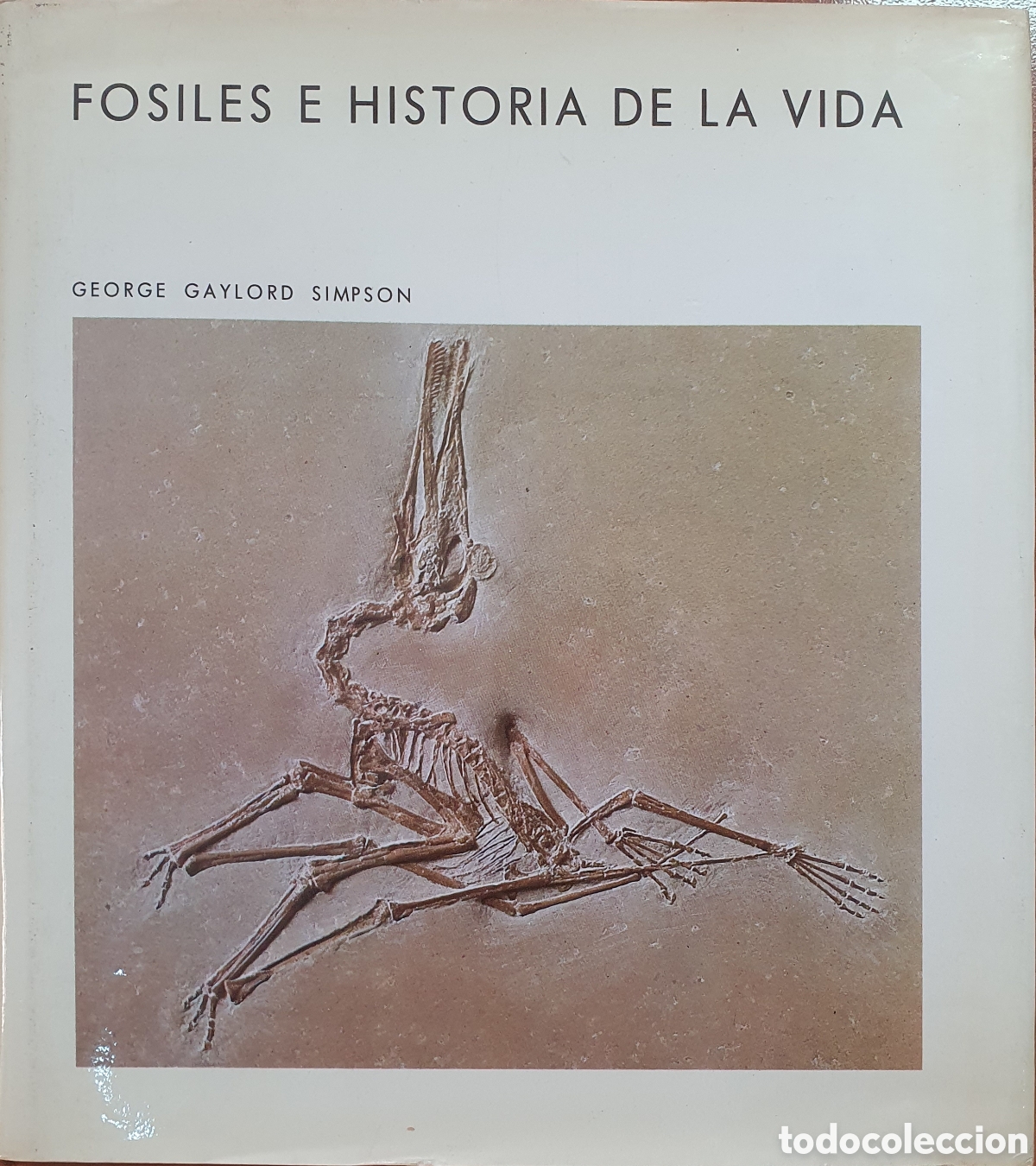Libros: La Percepci&oacute;n � Labor - Irvin Rock - Foto 1