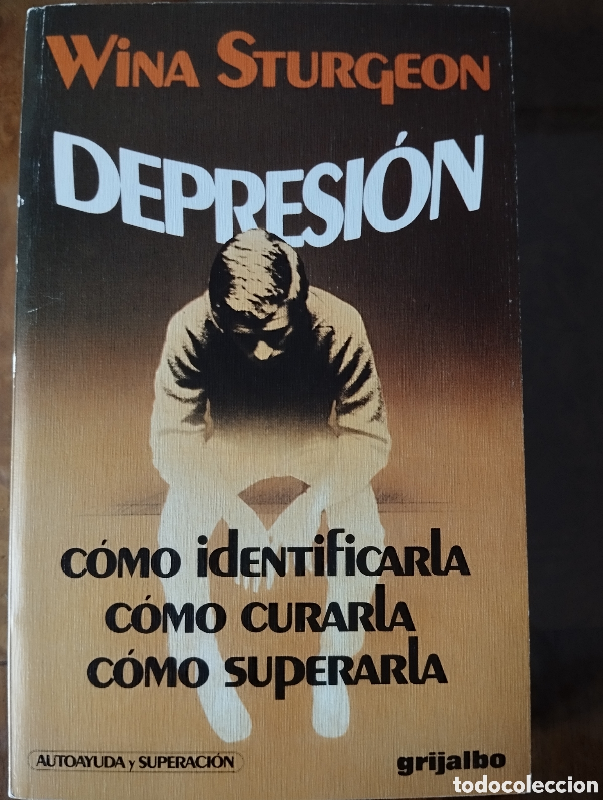 Libros: Depresi&oacute;n. - Foto 1