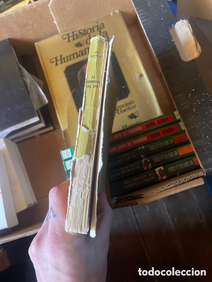 Libros: La formaci&oacute;n del ser jean rostand - Foto 2