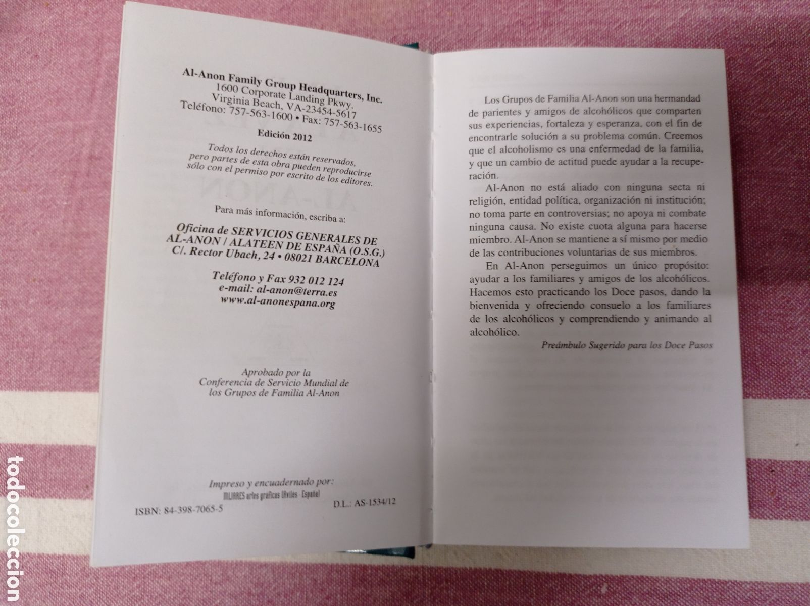 Libros: UN DIA A LA VEZ EN AL-ANON, ESTADO BUENO - Foto 2