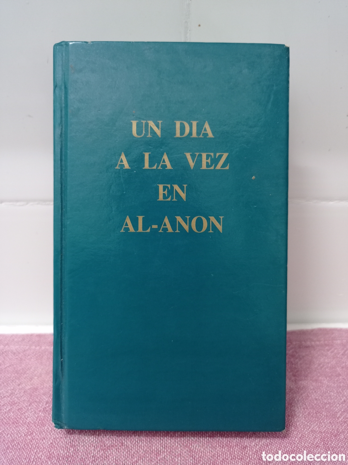 Libros: UN DIA A LA VEZ EN AL-ANON, ESTADO BUENO - Foto 1