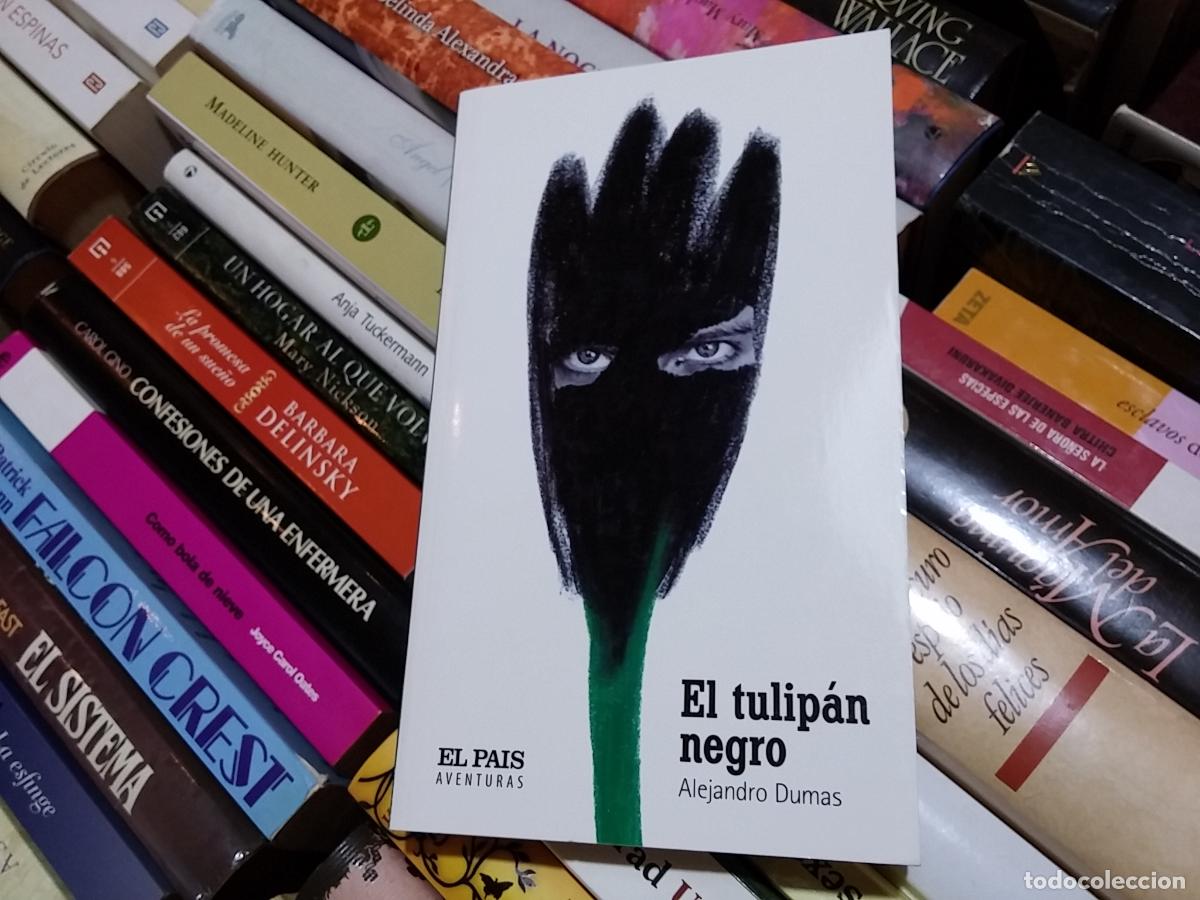 Libros: El tulip&aacute;n negro - Alejandro Dumas - Foto 1