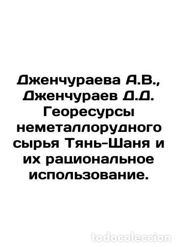 Libros: Dzhenchuraeva A.V., Dzhenchuraev D.D. Georesources of non-metallic raw materials