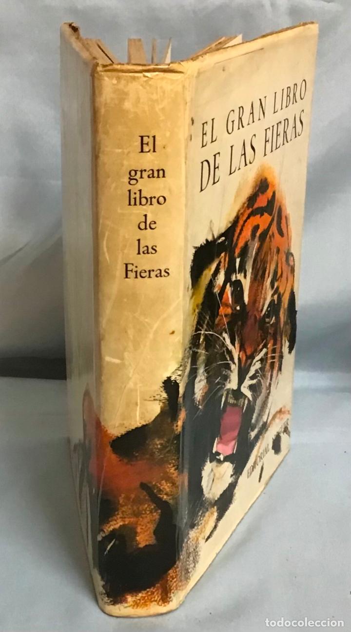 Libros: EL GRAN LIBRO DE LAS FIERAS - Foto 2