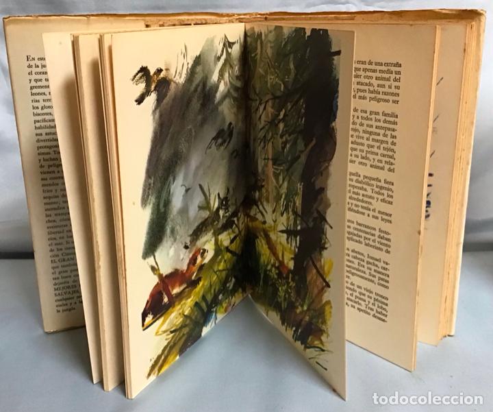 Libros: EL GRAN LIBRO DE LAS FIERAS - Foto 3