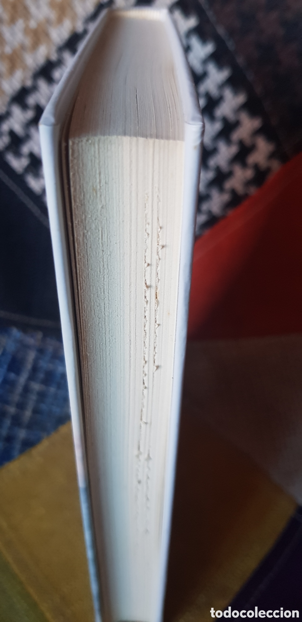 Libros: Libro UN A&Ntilde;O JUNTO AL MAR (Z1) - Foto 4