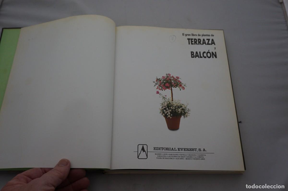 Libros: AMF-28A/ EL GRAN LIBRO DE PLANTAS TERRAZA Y BALCON / EDITORIAL EVEREST - Foto 2