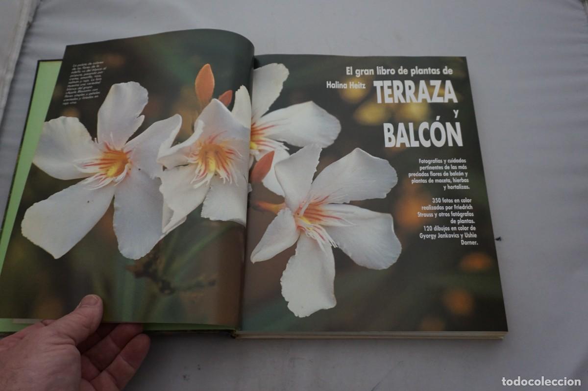 Libros: AMF-28A/ EL GRAN LIBRO DE PLANTAS TERRAZA Y BALCON / EDITORIAL EVEREST - Foto 3