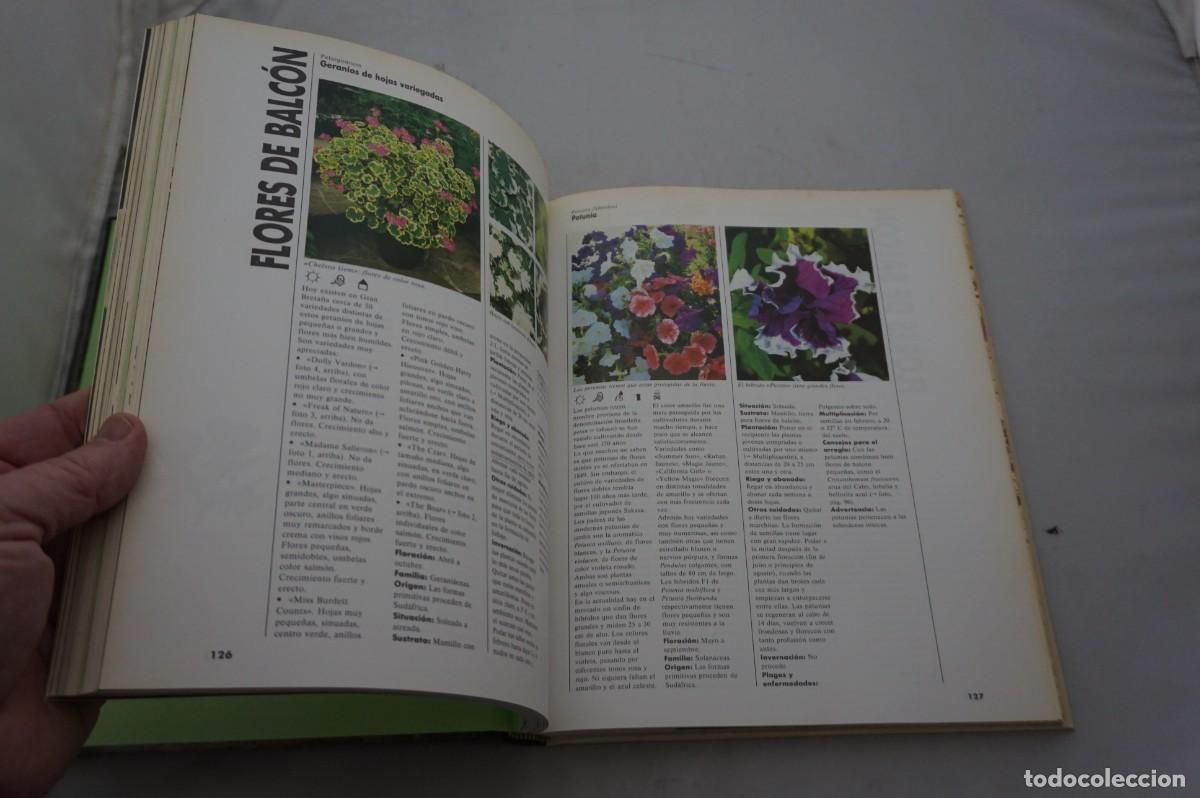 Libros: AMF-28A/ EL GRAN LIBRO DE PLANTAS TERRAZA Y BALCON / EDITORIAL EVEREST - Foto 4