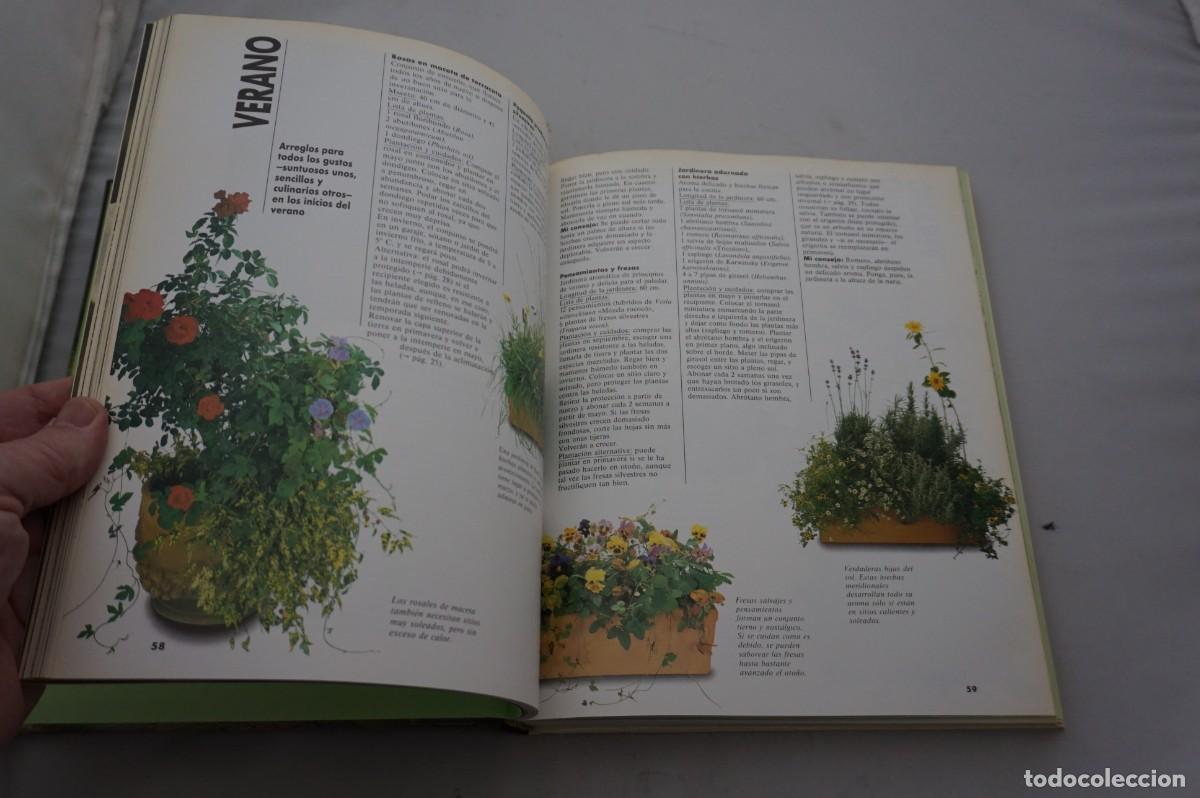 Libros: AMF-28A/ EL GRAN LIBRO DE PLANTAS TERRAZA Y BALCON / EDITORIAL EVEREST - Foto 5