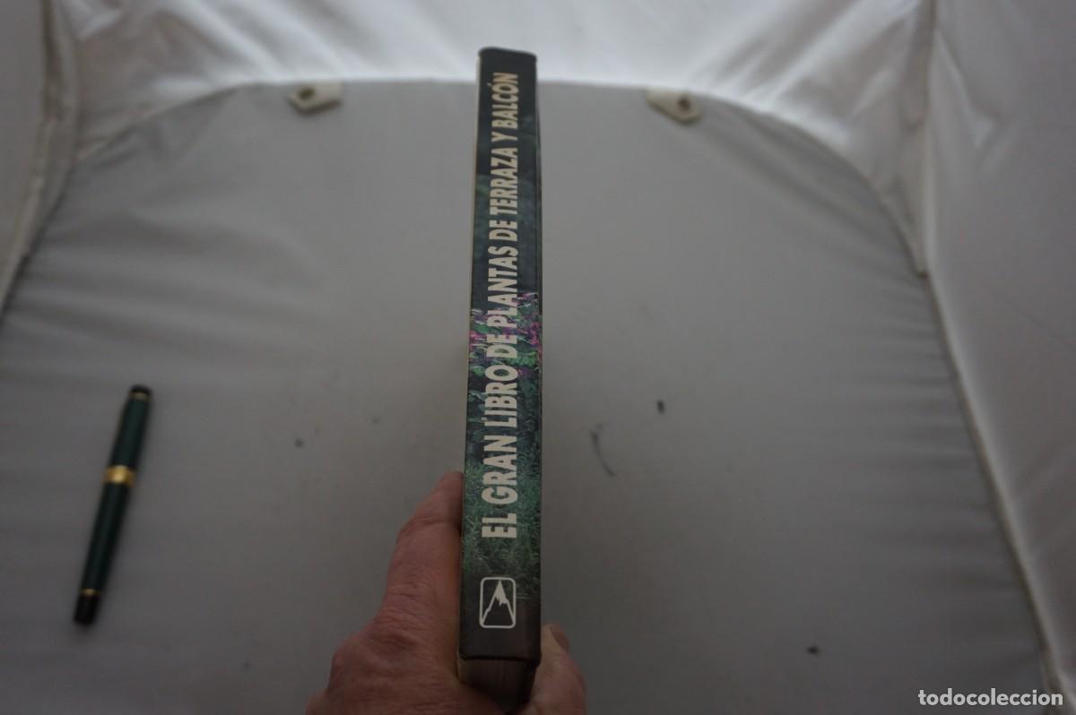 Libros: AMF-28A/ EL GRAN LIBRO DE PLANTAS TERRAZA Y BALCON / EDITORIAL EVEREST - Foto 7