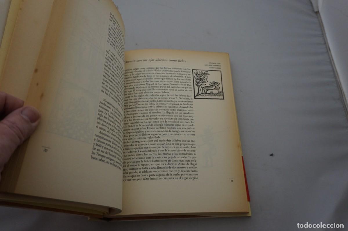 Libros: AMF-28A/ CUENTO DE CUENTOS - NESTOR LUJAN / FOLIO - Foto 3