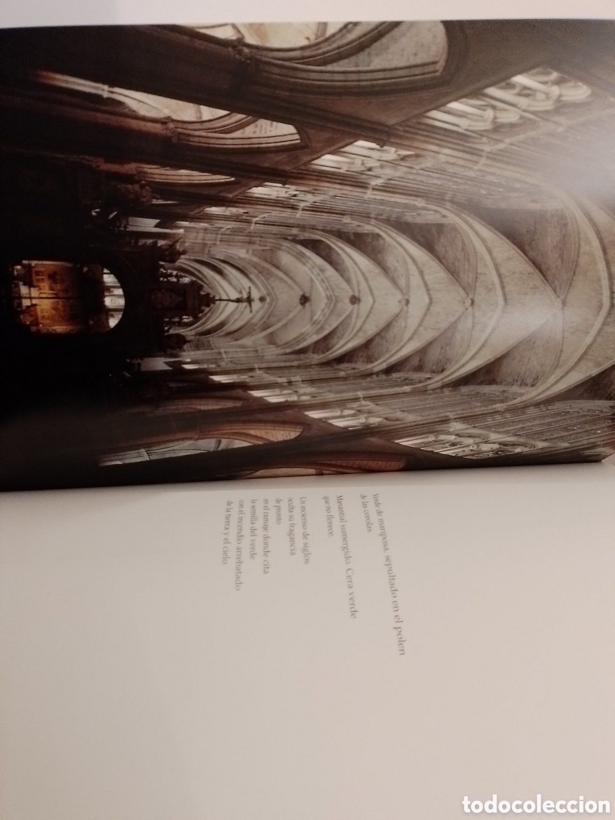 Libros: NOCTURNO, CATEDRAL DE LEON, EDILESA, 1993 - Foto 5