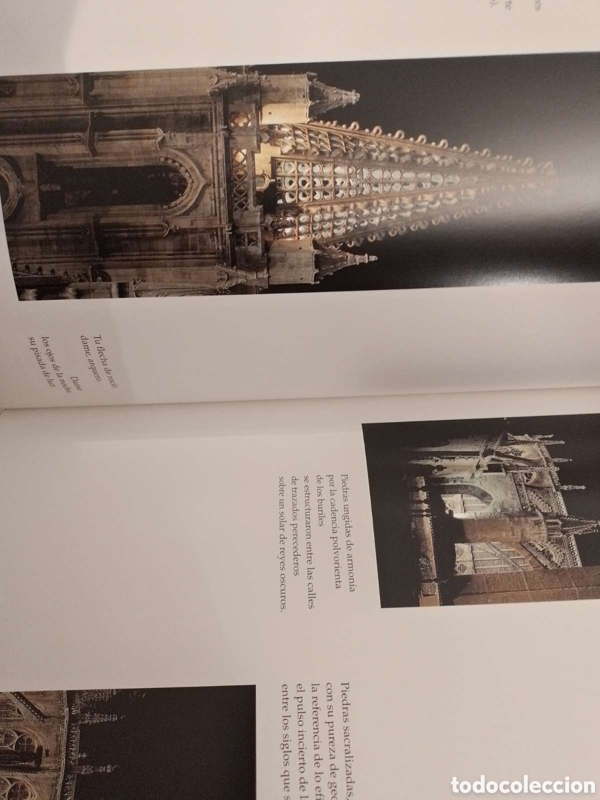 Libros: NOCTURNO, CATEDRAL DE LEON, EDILESA, 1993 - Foto 7