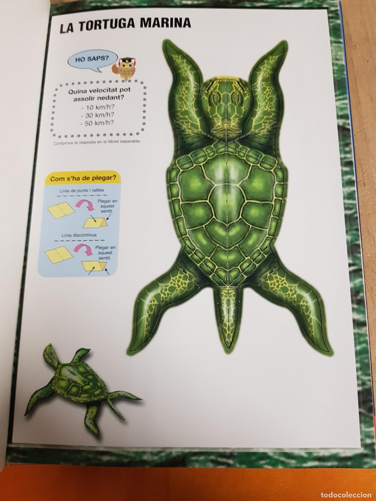 Libros: Animorama 3D. La jungla / La sabana / El mar - Foto 2