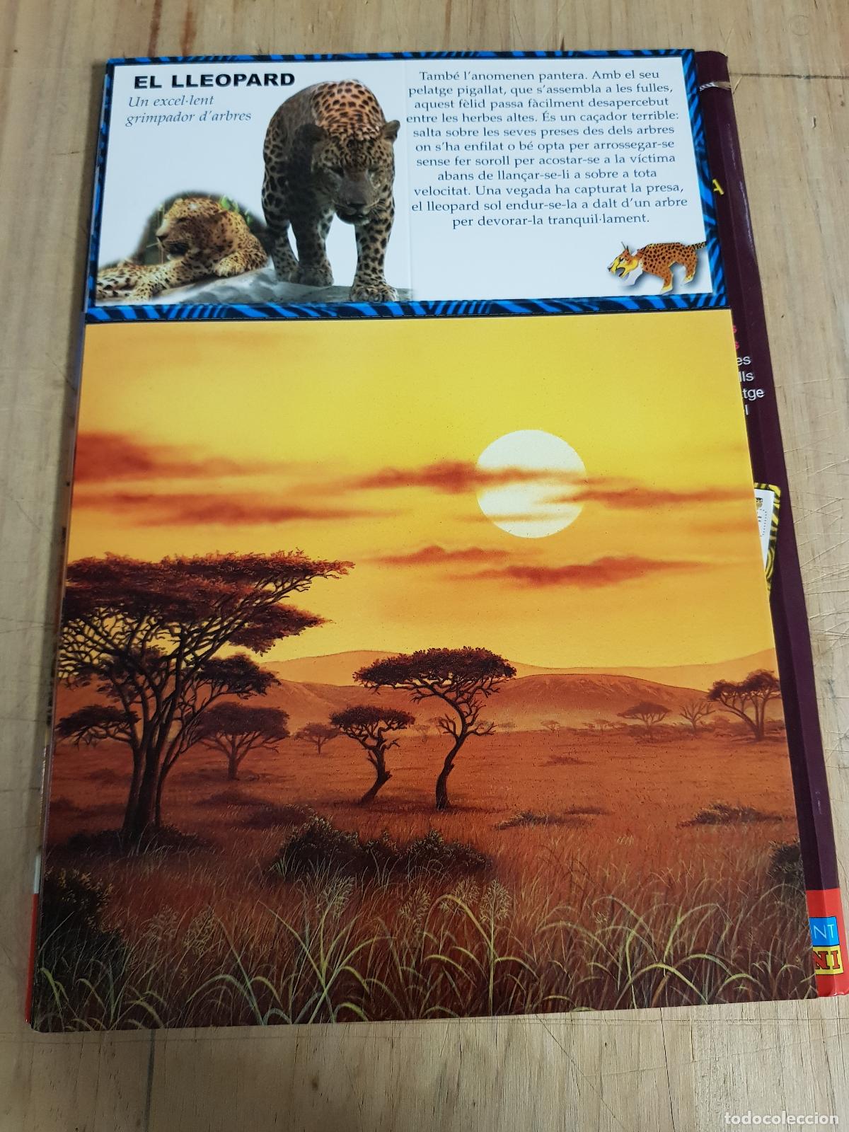 Libros: Animorama 3D. La jungla / La sabana / El mar - Foto 9