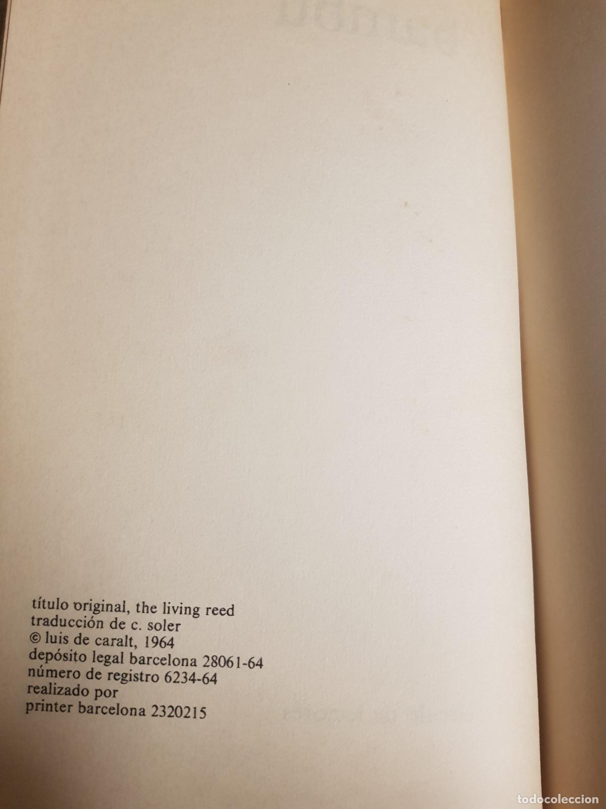 Libros: Bamb&uacute; - Pearl S. Buck - Foto 4