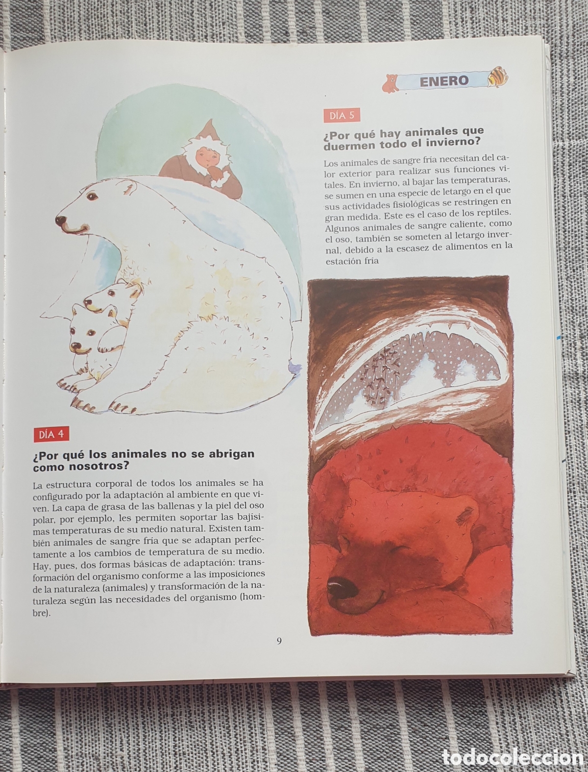 Libros: 365 preguntas y respuestas. - Foto 4