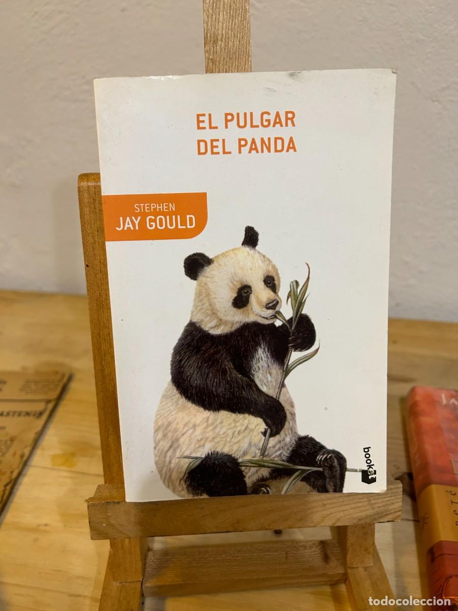 Libros: El pulgar del panda.- Gould, Stephen Jay - Foto 1