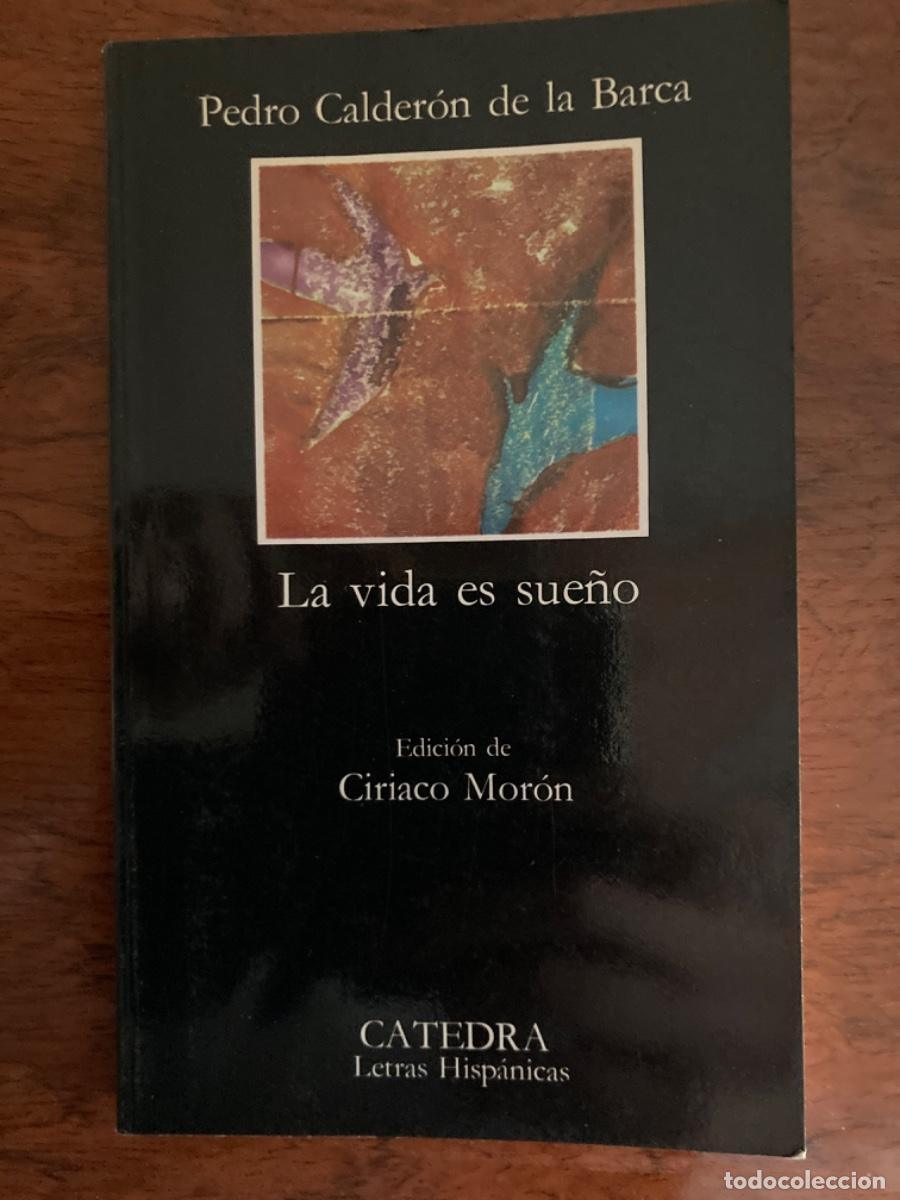 Libros: La vida es sue&ntilde;o. Calderon de la Barca. C&aacute;tedra - Foto 1