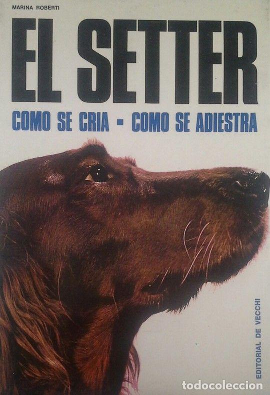 Libros: El Setter. - Marina Roberti. TDK873 - Foto 1