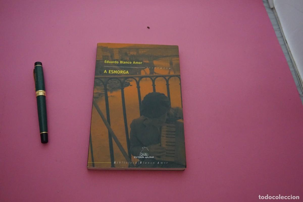 Libros: AMF-34A/ ESMORGA - EDUARDO BLANCO AMOR / EDITORIAL GALAXIA - Foto 1