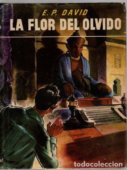 Libros: La flor del olvido (Aventuras de Ignacio Cantero) - David, E. P. - Foto 1