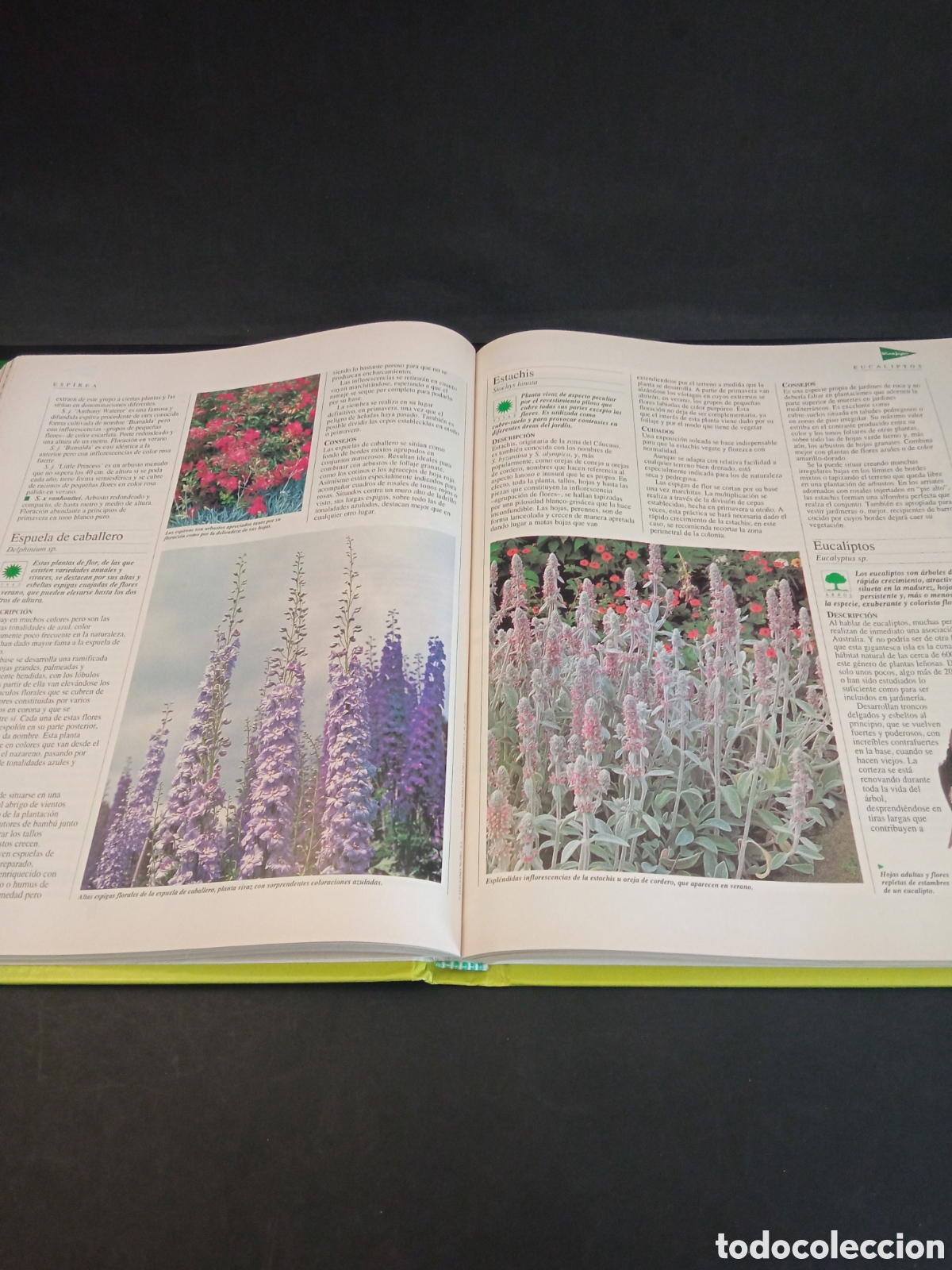 Libros: Libro Las plantas y los jardines - Foto 4