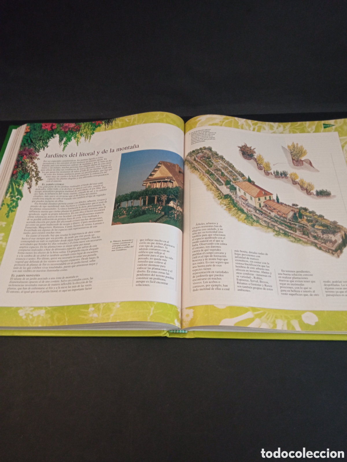Libros: Libro Las plantas y los jardines - Foto 6
