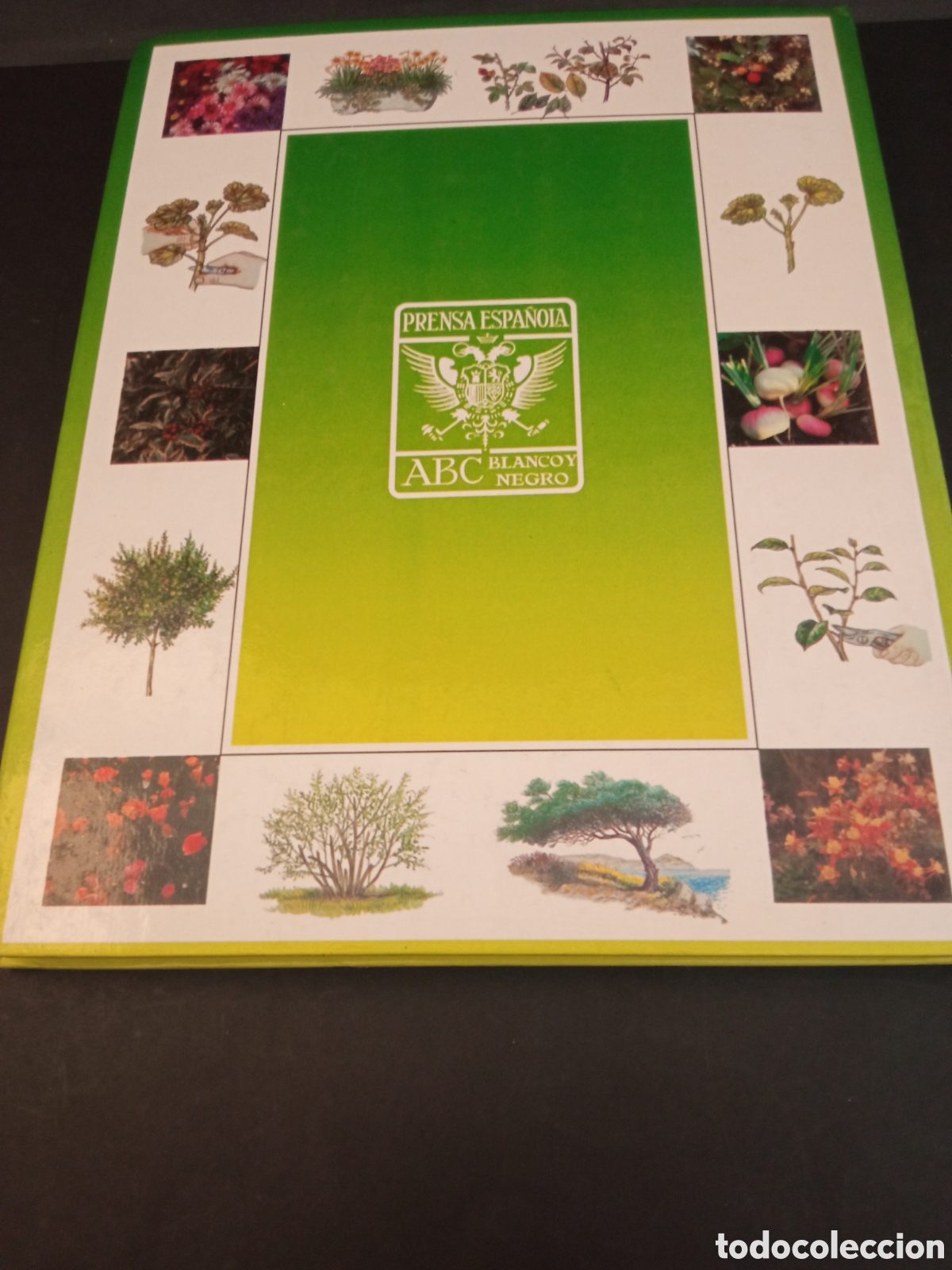 Libros: Libro Las plantas y los jardines - Foto 8