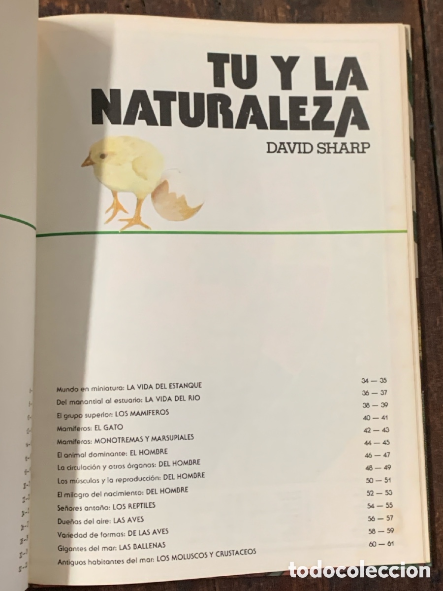 Libros: Tu Y La Naturaleza, David Sharp - 1977 - Foto 2