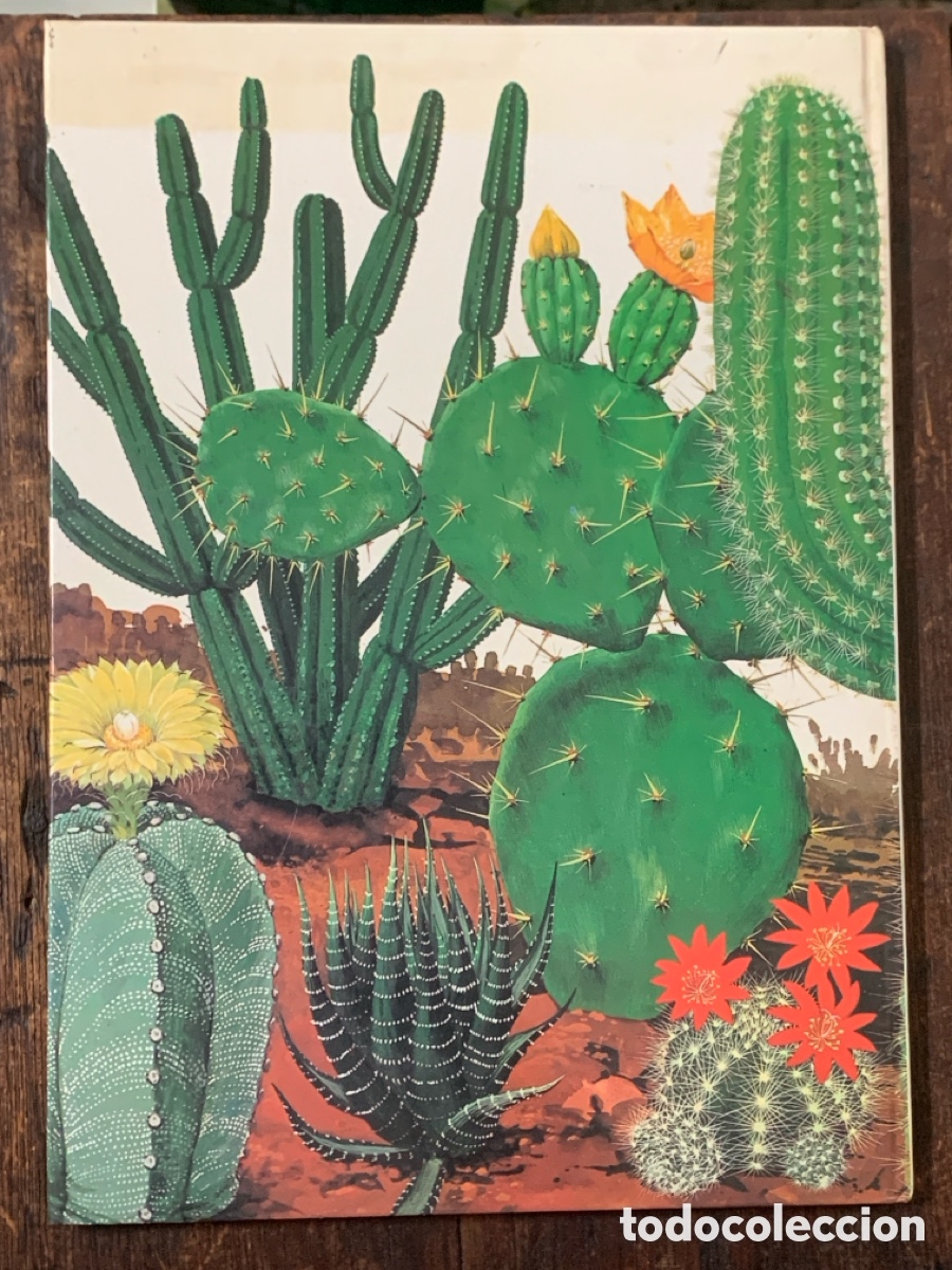 Libros: Tu Y La Naturaleza, David Sharp - 1977 - Foto 3