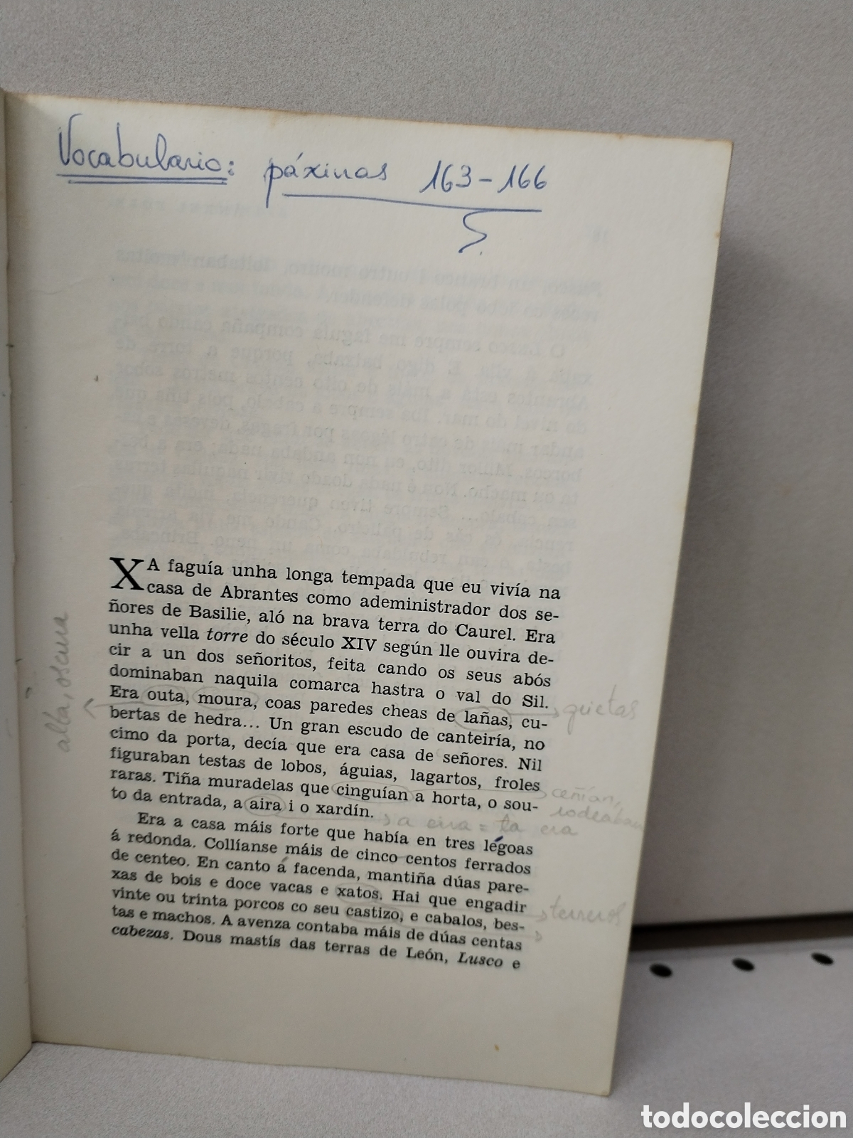 Libros: A lus do candil - Fole S&aacute;nchez, &Aacute;nxel - Foto 3