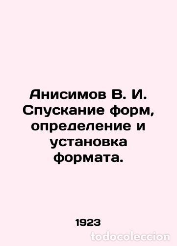 Libros: Anisimov V. I. Dropping forms, defining and setting the format. In Russian /Anis - Foto 1