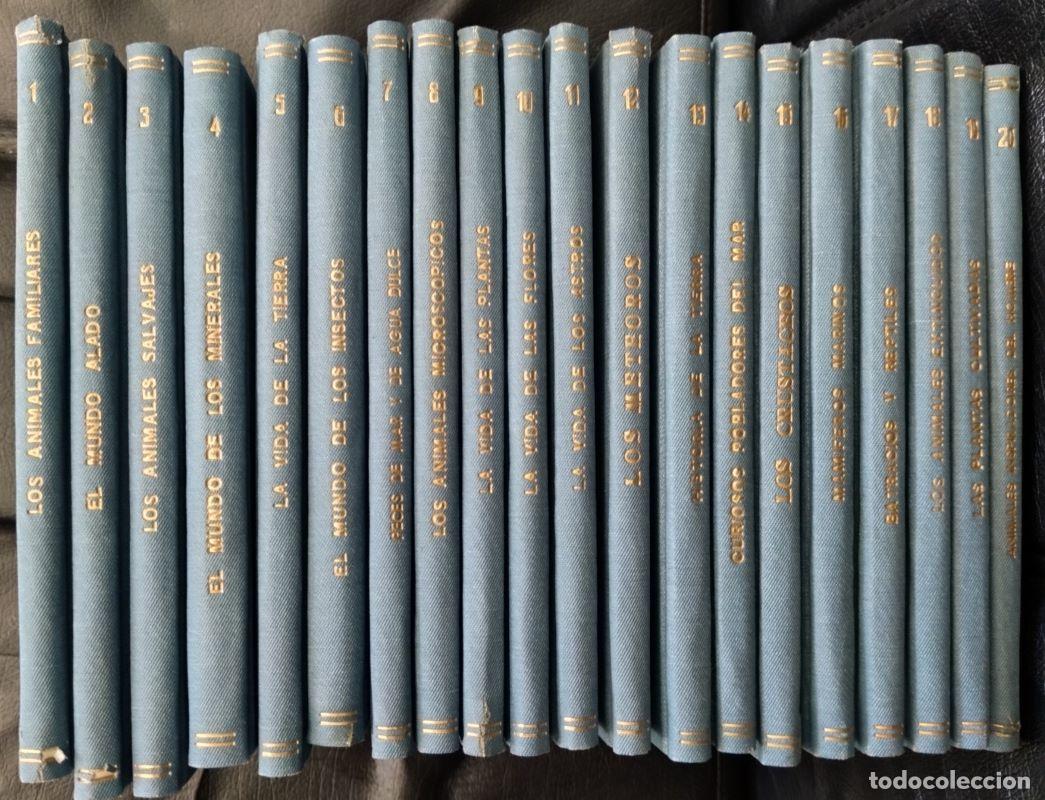 Libros: Libros de la naturaleza (20 tomos) - Foto 1