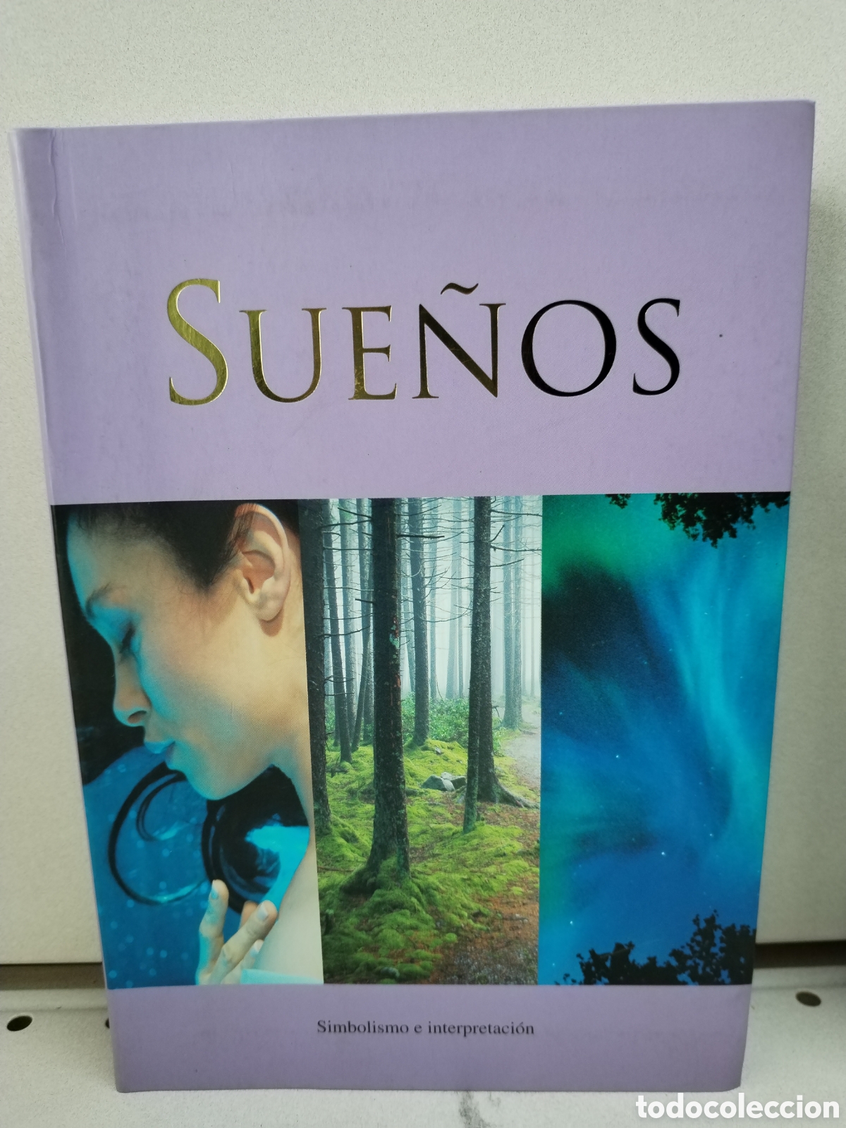 Libros: Suenos : Simbolismo y Interpretacion - Douglas Clucas - Foto 1