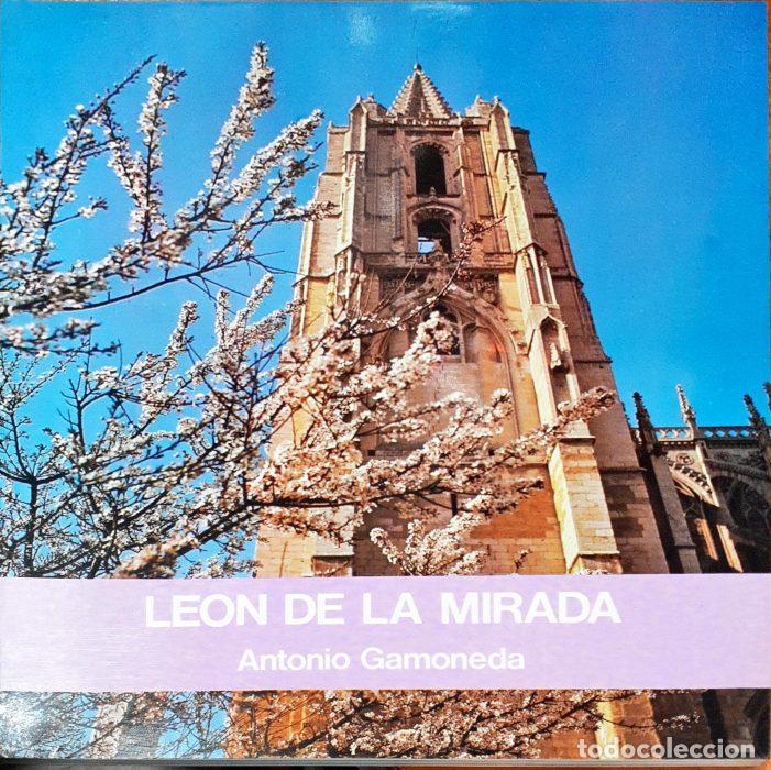 Libros: Le&oacute;n de la mirada - GAMONEDA, ANTONIO - Foto 1