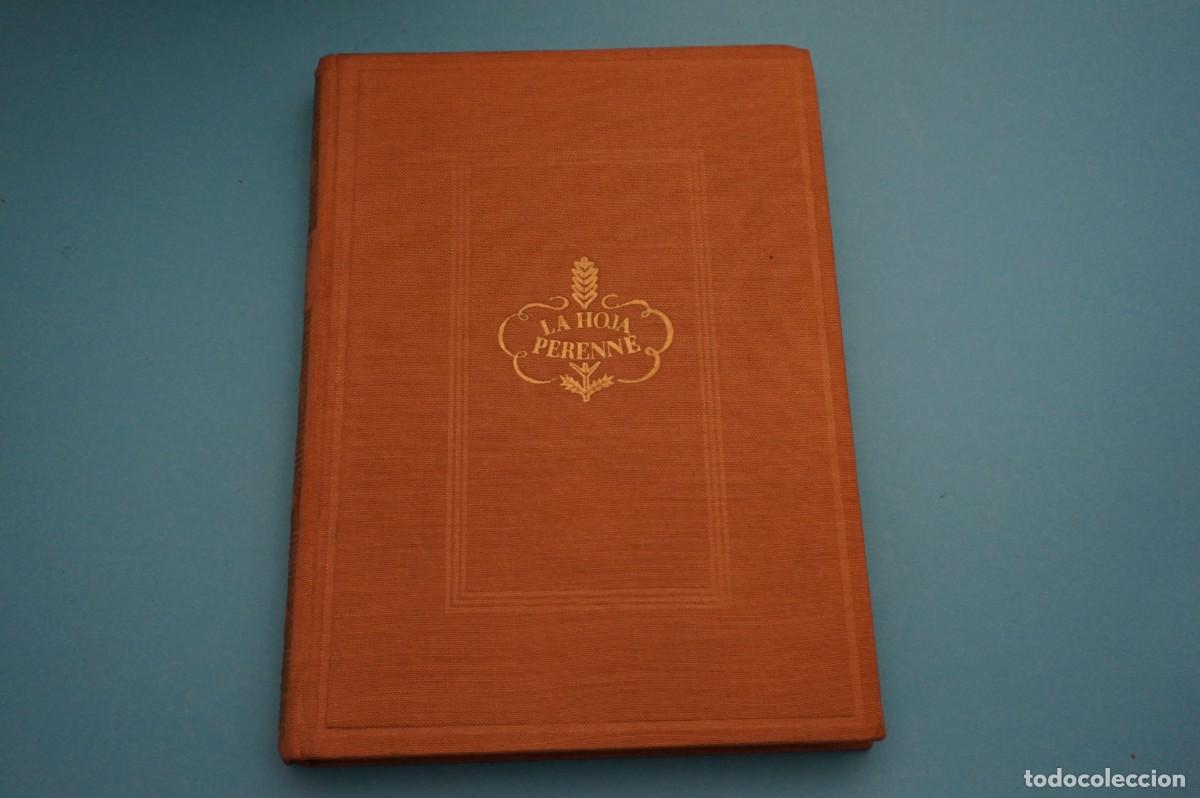 Libros: M1A - AMOR - PEARL S. BUCK / EDITORIAL MATEU - Foto 6