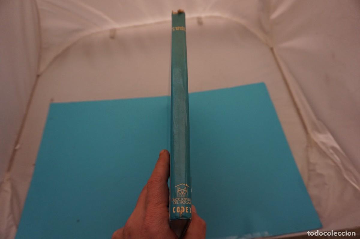 Libros: 20C- LA AGUJA Y LA LANA - GUIA PRACTICA DE LABORES DE PUNTO / EDITORIAL CODEX - Foto 7