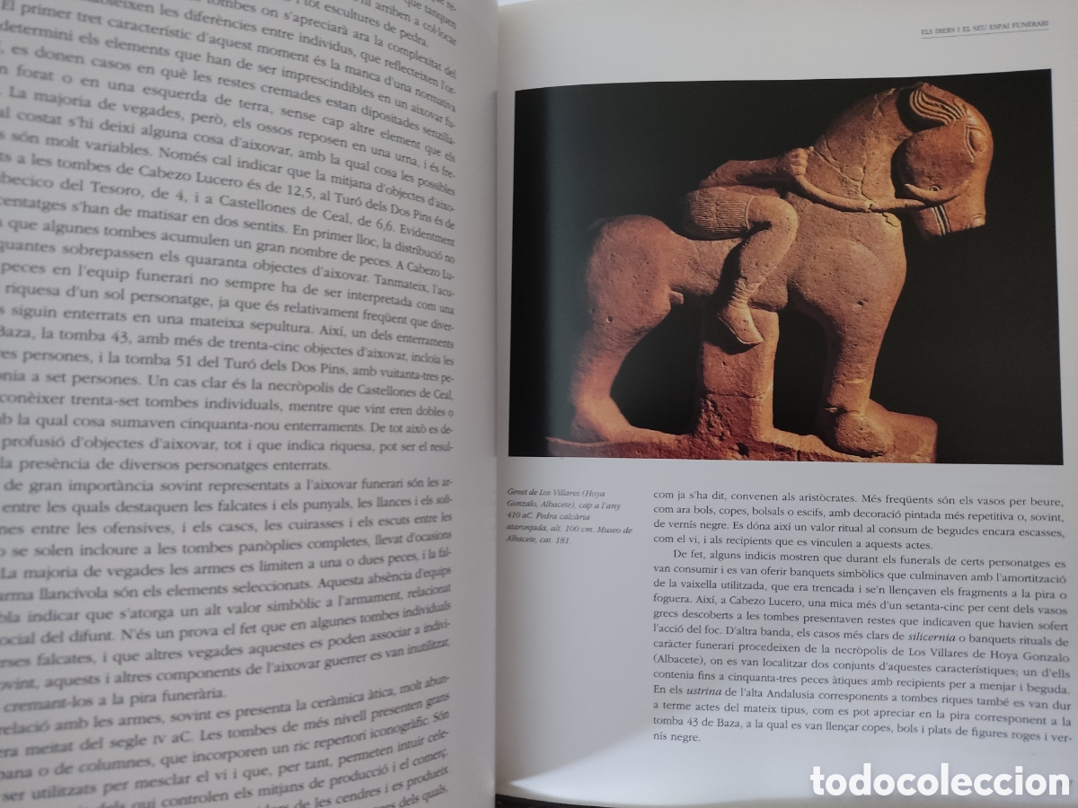 Libros: (CATAL&Aacute;) Els Ibers. Princeps dOccident/ Fundaci&oacute; La Caixa, 1998 - Foto 7