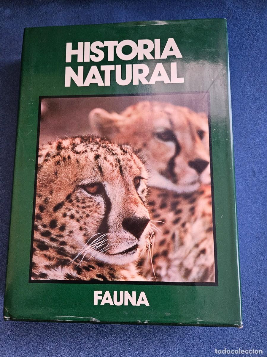 Libros: Historia Natural Fauna, Los Mam&iacute;feros. Editorial Club Internacional Del Libro, Madrid 1991.